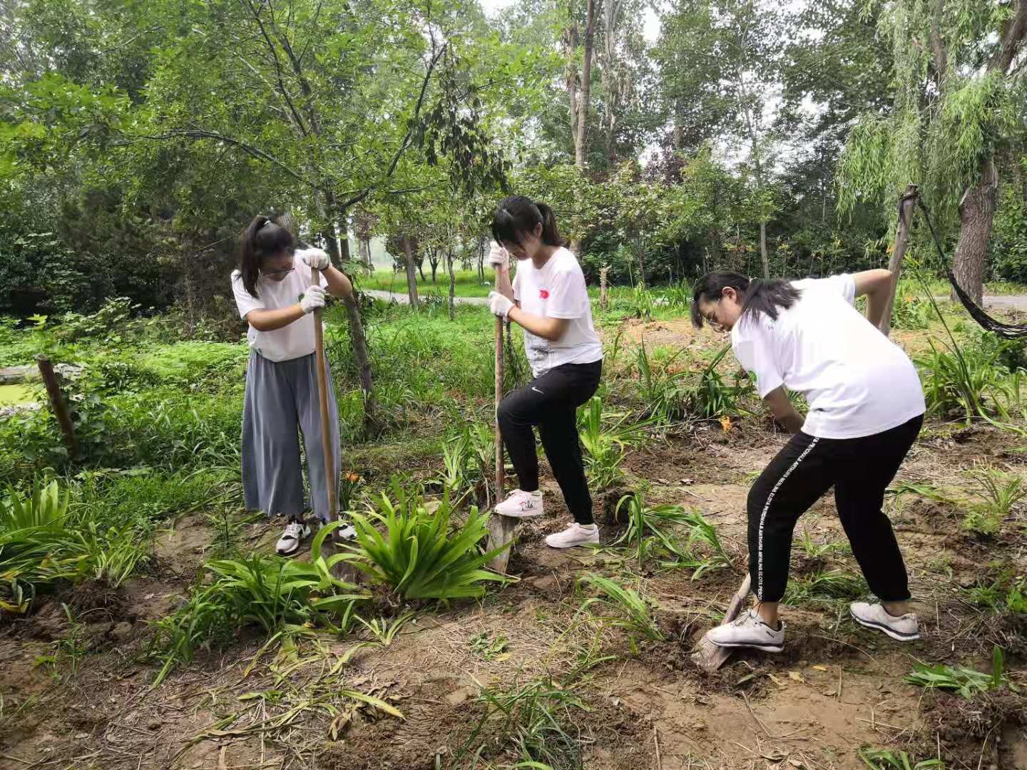 安全用药，健康同行——山东药品食品职业学院安全用药宣传周实践报告